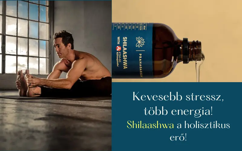 Shilaashwa – Kevesebb stressz, több energia  