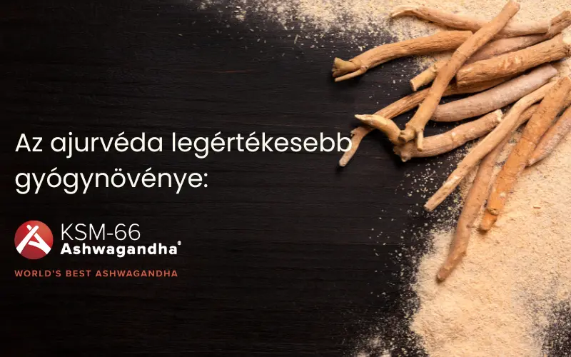 Mire jó a KSM 66 Ashwagandha, az ajurvéda legértékesebb gyógynövénye?