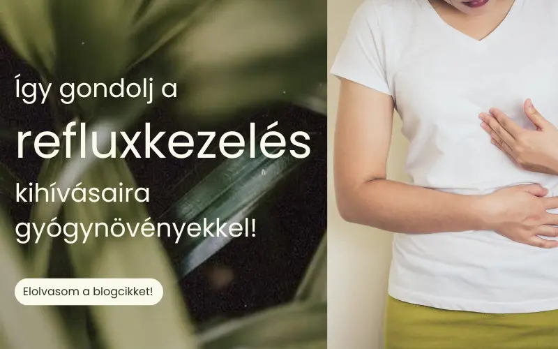 Így gondolj a refluxkezelés kihívásaira gyógynövényekkel!